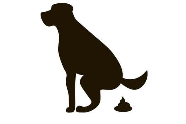 封控搞死你，放开不管你