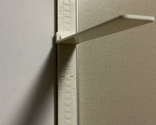 z购：身高测量仪