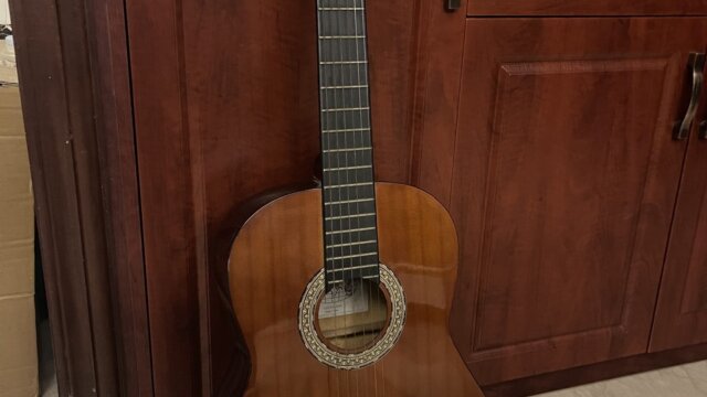 Goodbye, My Guitar?